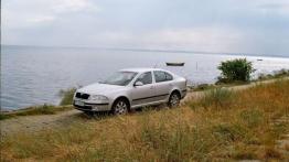 Skoda Octavia 1.9 TDI Ambiente - galeria redakcyjna - lewy bok