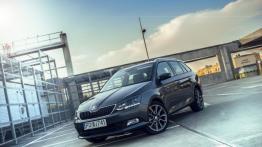Skoda Fabia Combi 1,2 TSI Edition 1.2 TSI 110 KM - galeria redakcyjna - widok z przodu