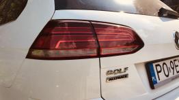 Volkswagen Golf Alltrack 2.0 TDI 184 KM - galeria redakcyjna
