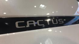 Poznań Motor Show 2018: Citroen - galeria redakcyjna