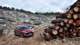 Ford Fiesta Active - galeria redakcyjna
