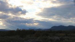 Skoda Citigo - małe auto, długa trasa