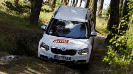 Dekada troski o kierowców - Skoda