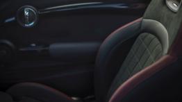 Mini 3d John Cooper Works, 2.0 231 KM - galeria redakcyjna - drzwi pasażera od wewnątrz