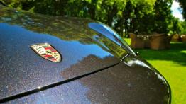 Porsche Panamera Limuzyna 4.8 V8 430KM - galeria redakcyjna - logo