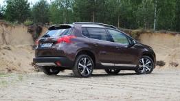 Peugeot 2008 - galeria redakcyjna - widok z tyłu