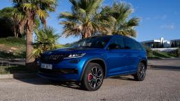 Skoda Kodiaq RS - galeria redakcyjna