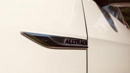 Volkswagen Golf Alltrack 2.0 TDI 184 KM - galeria redakcyjna