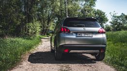 Peugeot 2008 Crossway - galeria redakcyjna - widok z tyłu