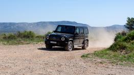 Mercedes-Benz Klasa G - galeria redakcyjna - widok z przodu
