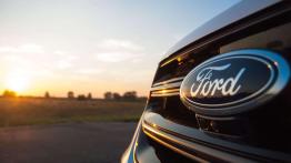 Ford Edge – galeria redakcyjna