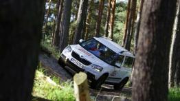 Dekada troski o kierowców - Skoda