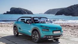 Citroen Cactus M - niech żyje wakacyjna przygoda