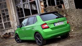 Skoda Fabia III Hatchback 1.2 TSI - galeria redakcyjna - widok z tyłu