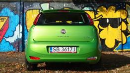 Fiat Punto Punto 2012 Hatchback 5d 0.9 TwinAir 8v 85KM - galeria redakcyjna - widok z tyłu