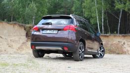 Peugeot 2008 - galeria redakcyjna - widok z tyłu