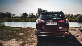 Toyota RAV4 Hybrid - galeria redakcyjna