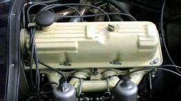 Nie drażnij Tygrysa!