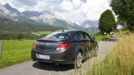 Opel Insignia - widok z tyłu