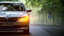 Skoda Superb Laurin & Klement 2.0 TDI 150 KM - galeria redakcyjna - widok z przodu
