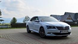 Skoda Superb 2.0 TDI 190 KM - galeria redakcyjna - widok z przodu
