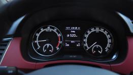Skoda Fabia III FL - galeria redakcyjna
