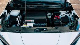 Nissan Leaf – nauka jazdy od nowa