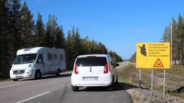 Skoda Citigo - małe auto, długa trasa