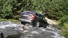 Dekada troski o kierowców - Skoda