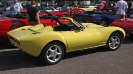 Mniej znane marki: Ginetta