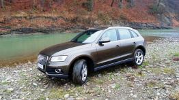 Audi Q5 SUV Facelifting 2.0 TDI 177KM - galeria redakcyjna - lewy bok