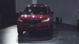 Skoda Kodiaq - galeria redakcyjna