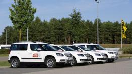 Dekada troski o kierowców - Skoda