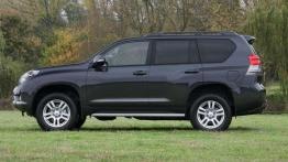 Szóste pokolenie bestsellera