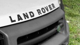 Freelander - rynkowa okazja?