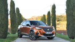 Peugeot 2008 II - galeria redakcyjna - widok z przodu