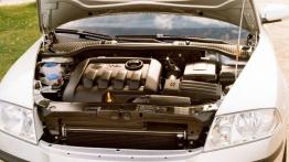 Skoda Octavia 1.9 TDI Ambiente - galeria redakcyjna - silnik