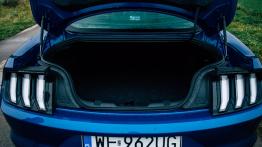 Ford Mustang GT - galeria redakcyjna - ty? - baga?nik otwarty
