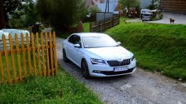 Skoda Superb 2.0 TDI 190 KM - galeria redakcyjna - widok z przodu