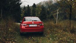 Skoda Superb Laurin&Klement 2.0 TSI 280 KM - galeria redakcyjna - widok z tyłu