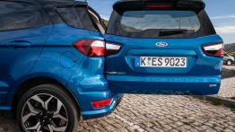 Ford Ecosport – dzika karta
