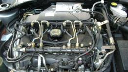 &quot;Rechot&quot; z żyłką sportowca