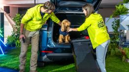 Jaecoo 5 - ty³ - inne ujêcie