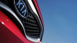 Kia Picanto 2011 - wersja 3-drzwiowa - grill