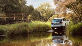 Volkswagen Golf Alltrack 2.0 TDI 184 KM - galeria redakcyjna - widok z tyłu