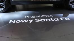 Poznań Motor Show 2018: Hyundai - galeria redakcyjna