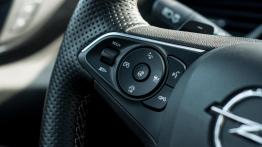 Opel Insignia 2.0 Turbo 260 KM - galeria redakcyjna