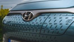 Hyundai Kona Electric - galeria redakcyjna