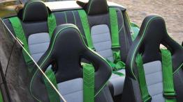 Pięć smaków i wisienka - Skoda