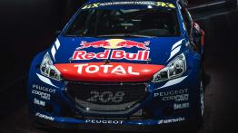 Paris Motor Show 2016 - galeria redakcyjna